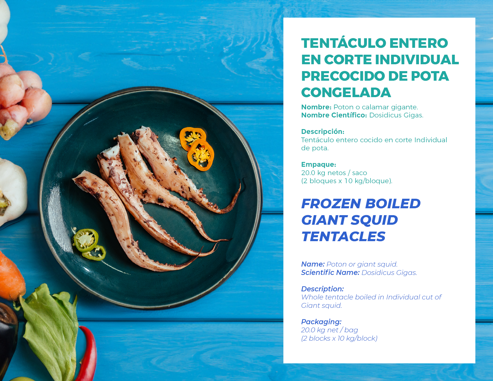 brochure 1